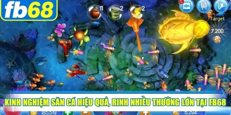 Bắn Cá FB68 3 Kinh nghiệm săn cá hiệu quả, rinh nhiều thưởng lớn tại FB68
